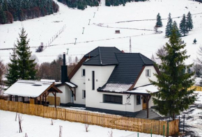 Mariska Villa Voşlăbeni